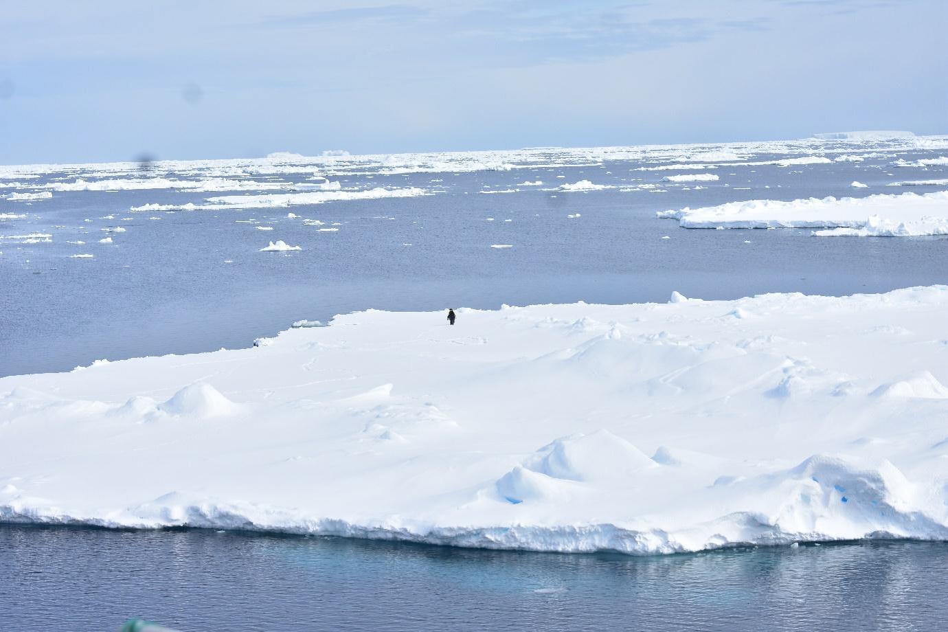 A new NCPOR study attempts to resolve the Mystery of extremely low sea ice cover in the Antarctic.