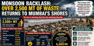 Monsoon Backlash: Over 2,500 MT of Waste Returns to Mumbai’s Shores