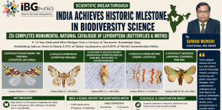 India Completes Landmark National Catalogue of Butterflies and Moths, Strengthening Global Biodiversity Research India Completes Landmark National Catalogue of Butterflies and Moths, Strengthening Global Biodiversity Research