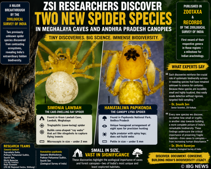 ZSI Scientists Discover Two New Spider Species in Meghalaya Caves and Andhra Pradesh Forest Canopies ZSI Scientists Discover Two New Spider Species in Meghalaya Caves and Andhra Pradesh Forest Canopies