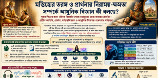 পুরুর পিতার জন্য যৌবন বিসর্জন থেকে হুমায়ূনের জন্য বাবরের প্রার্থনা – মস্তিষ্কের তরঙ্গ ও প্রার্থনার নিরাময়-ক্ষমতা সম্পর্কে আধুনিক বিজ্ঞান কী বলছে? পুরুর পিতার জন্য যৌবন বিসর্জন থেকে হুমায়ূনের জন্য বাবরের প্রার্থনা - মস্তিষ্কের তরঙ্গ ও প্রার্থনার নিরাময়-ক্ষমতা সম্পর্কে আধুনিক বিজ্ঞান কী বলছে?