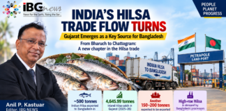 India’s Hilsa Trade Flow Turns: Gujarat Emerges as a Key Source for Bangladesh India’s Hilsa Trade Flow Turns: Gujarat Emerges as a Key Source for Bangladesh