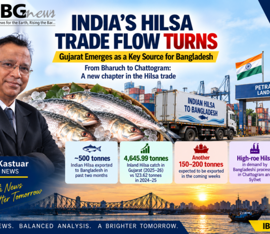 India’s Hilsa Trade Flow Turns: Gujarat Emerges as a Key Source for Bangladesh India’s Hilsa Trade Flow Turns: Gujarat Emerges as a Key Source for Bangladesh