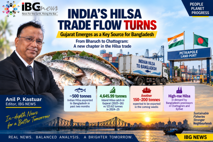India’s Hilsa Trade Flow Turns: Gujarat Emerges as a Key Source for Bangladesh India’s Hilsa Trade Flow Turns: Gujarat Emerges as a Key Source for Bangladesh